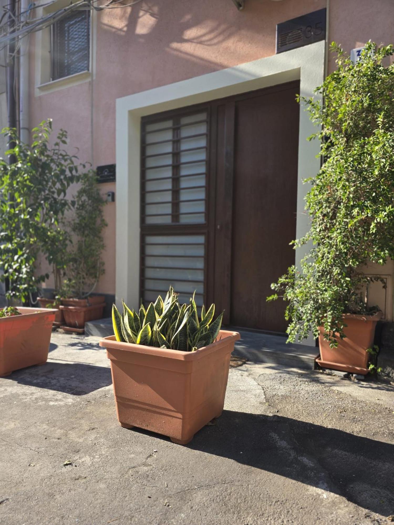 Benedettini Little House Catania